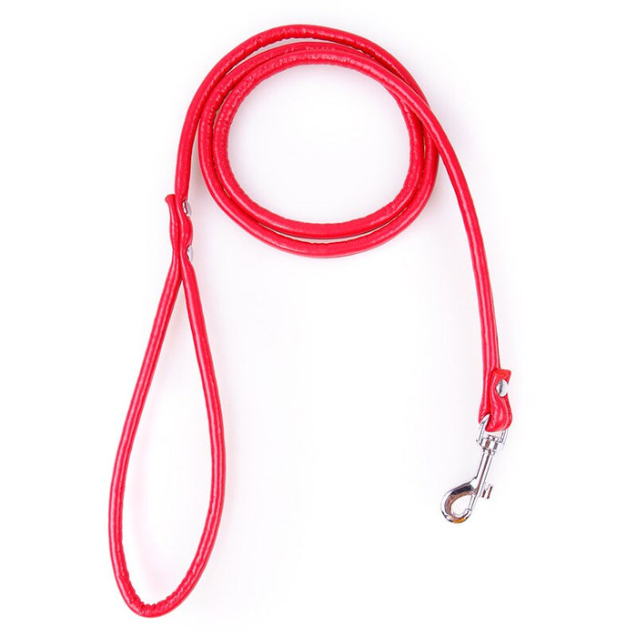 Puppy Dogs Leash