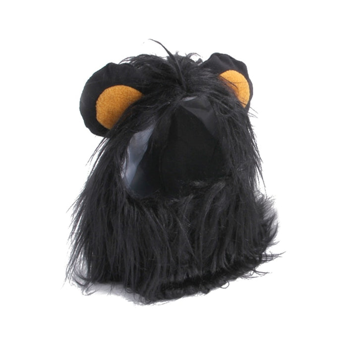Black Lion Costume for Cats