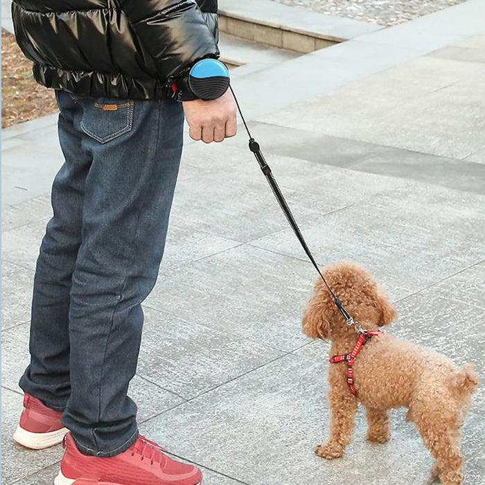 Hands-Free Extendable Running Leash