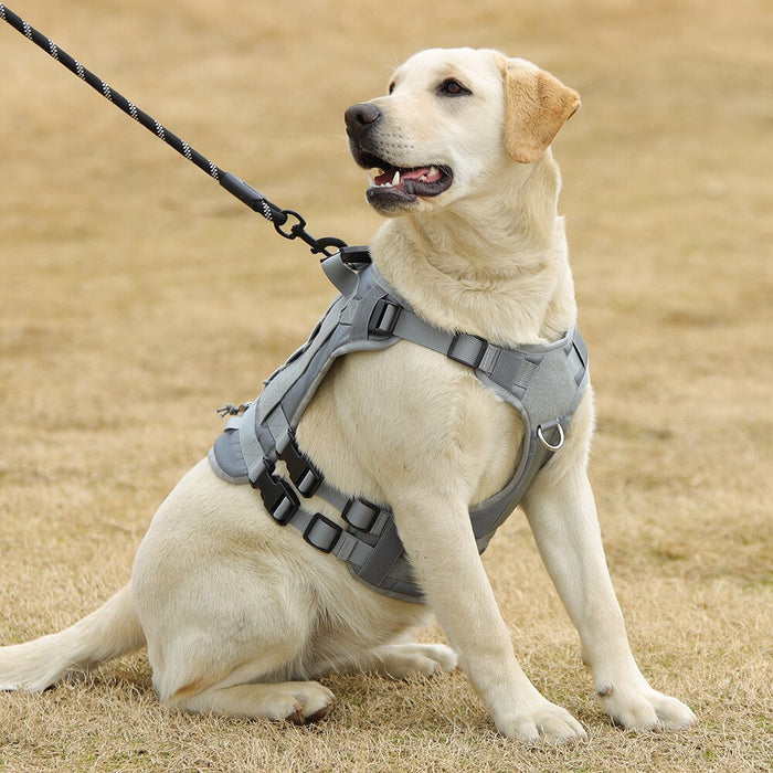 Vest For Dog Training