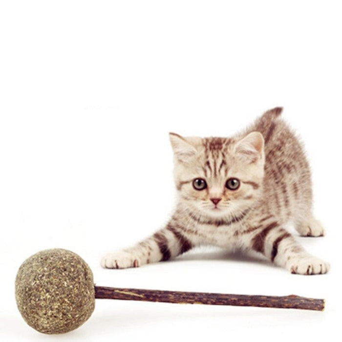 Menthol Flavor Kitten Treat Ball