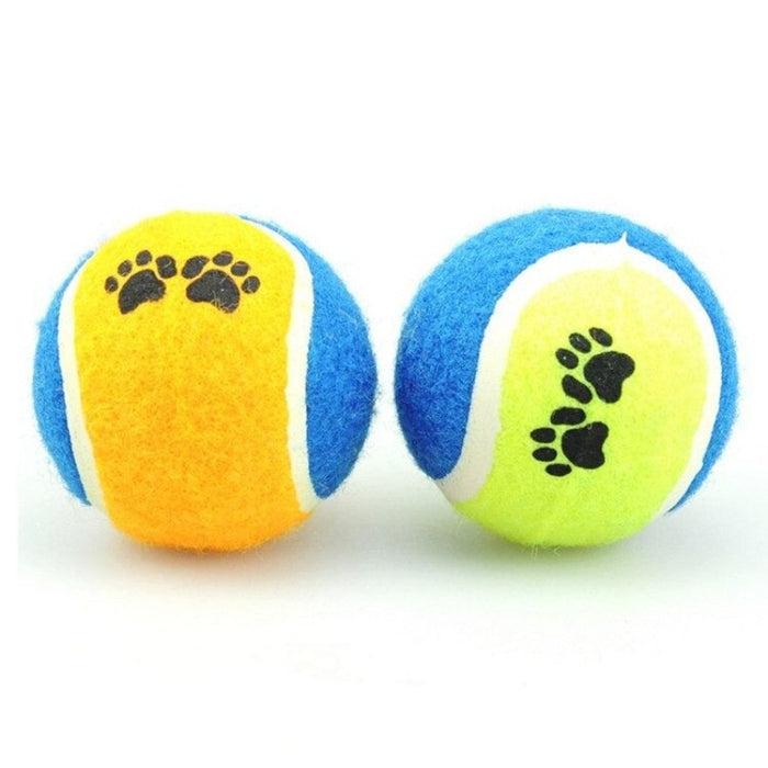 Tennis Balls Run Fetch Toys