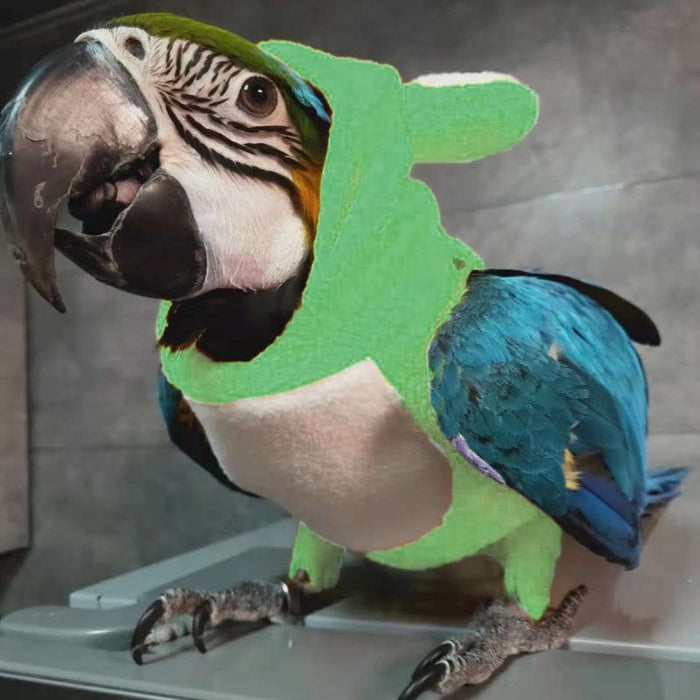 Frog-Shaped Bird's Clothing