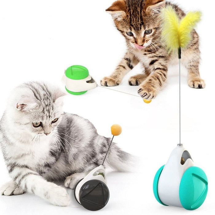 Pet Balance Swing Toys