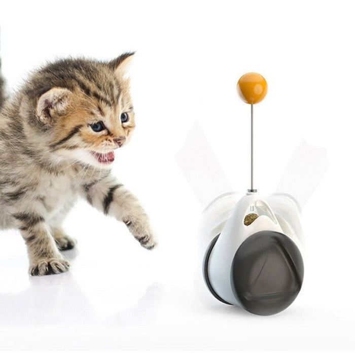 Pet Balance Swing Toys