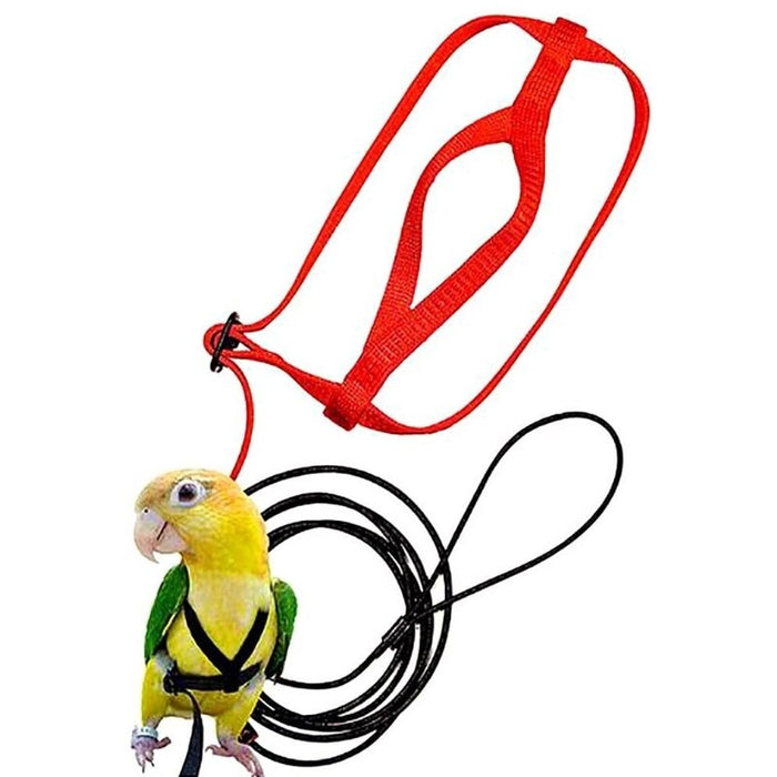 Pet Bird Adjustable Harness And Leash