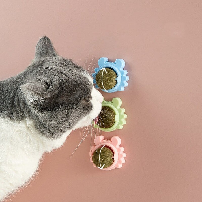 Cat Toy Catnip Ball