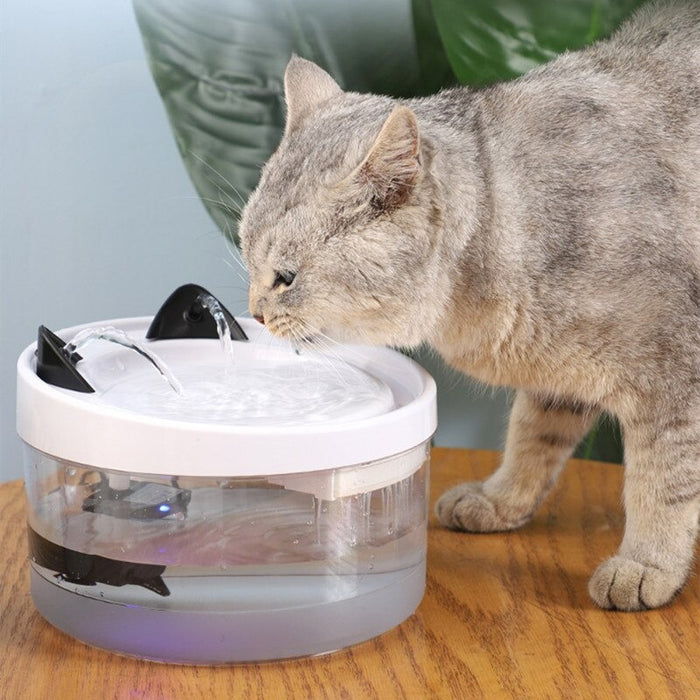 Pet Cat Water Feeder