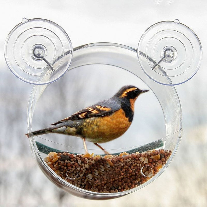 Round Acrylic Bird Feeder