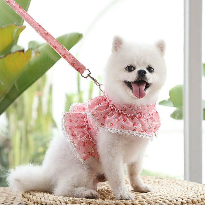 Cute Vest Harness And Leashes