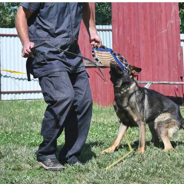 Safe Dog Training Bite Pillow