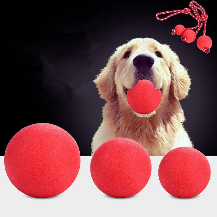 Solid Rubber Dogs Chew Training Ball