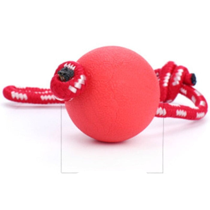 Solid Rubber Dogs Chew Training Ball