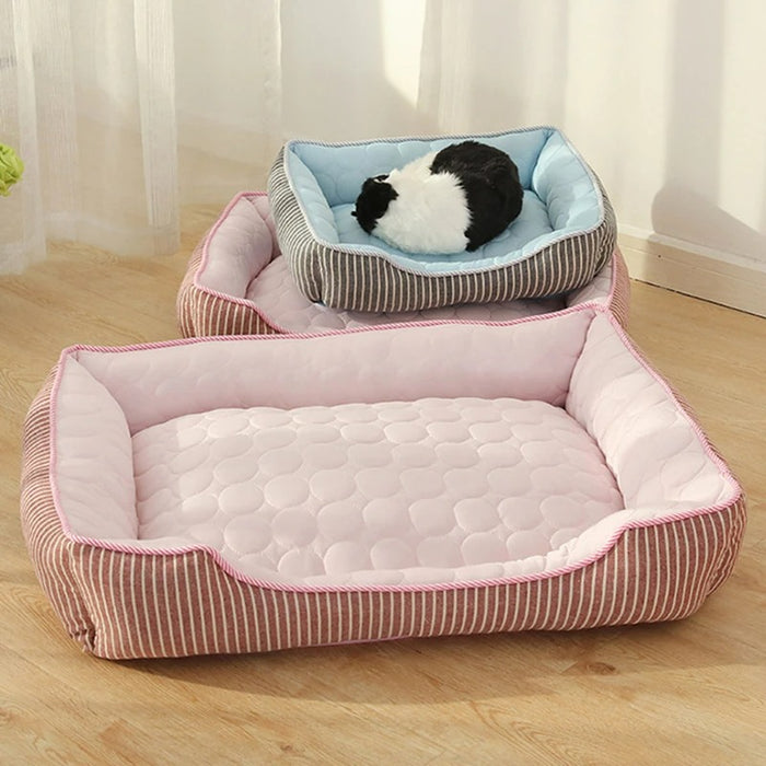 Puppy Dog Cushion Mat