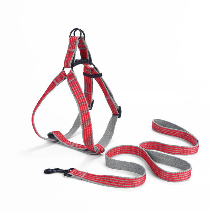 Leash And Collar Walking Set