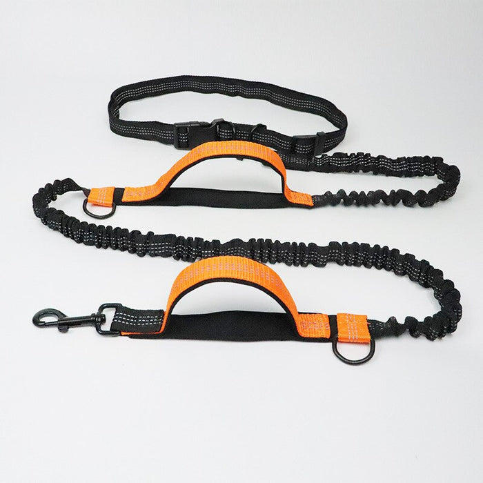 Running Dog Leash