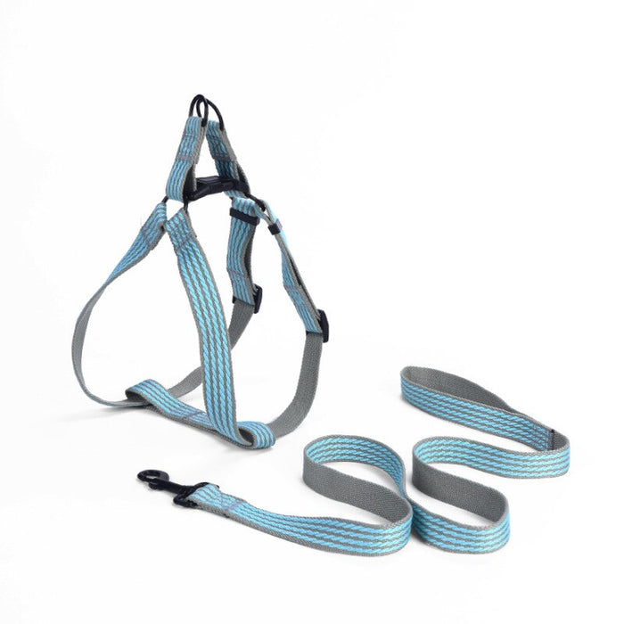 Leash And Collar Walking Set