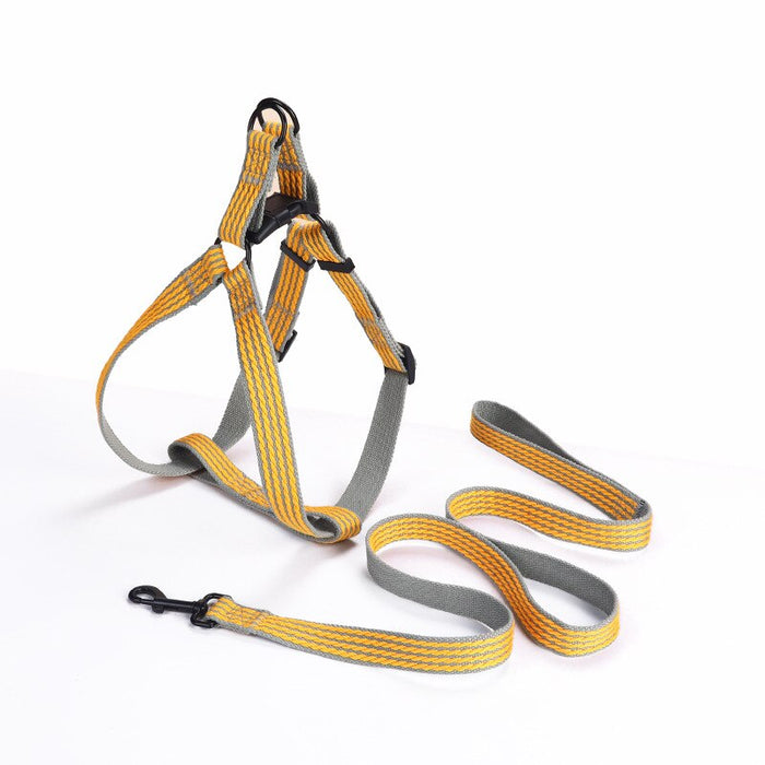 Leash And Collar Walking Set