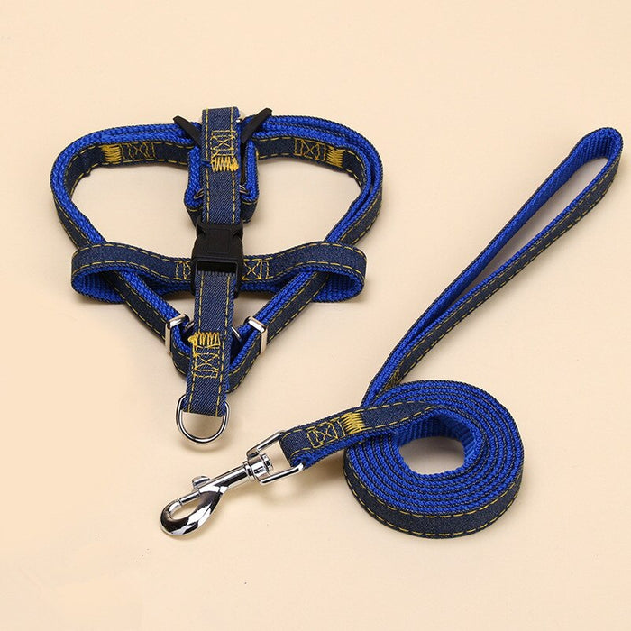 Denim Harness And Leash Set