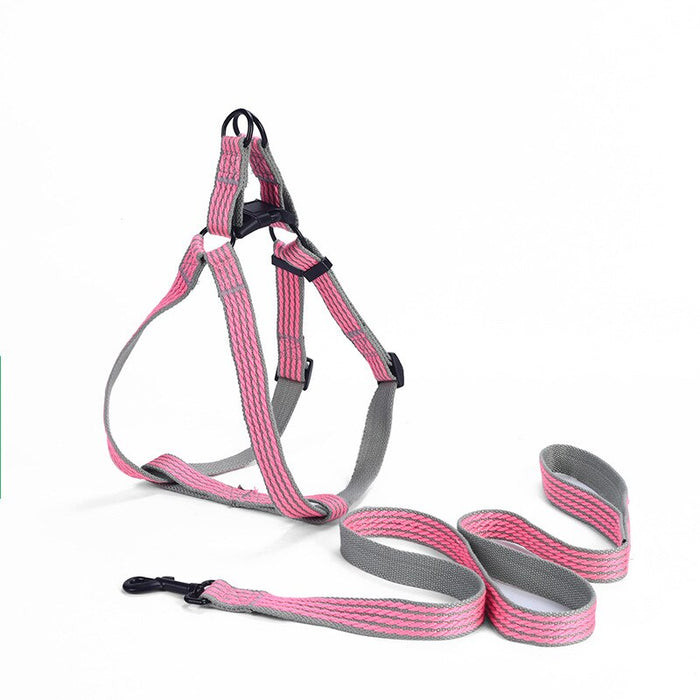 Leash And Collar Walking Set