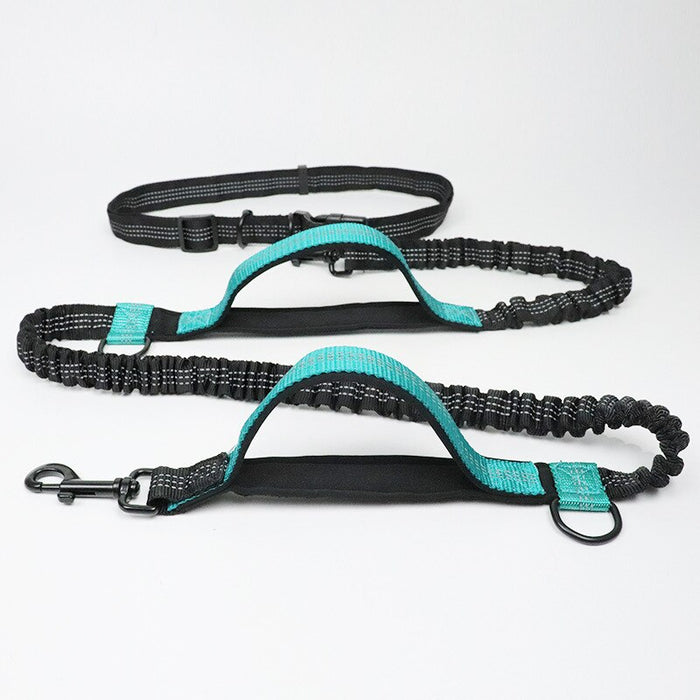 Running Dog Leash