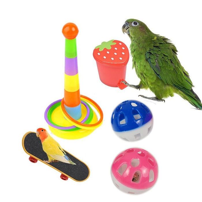 Birds Training Toys Set