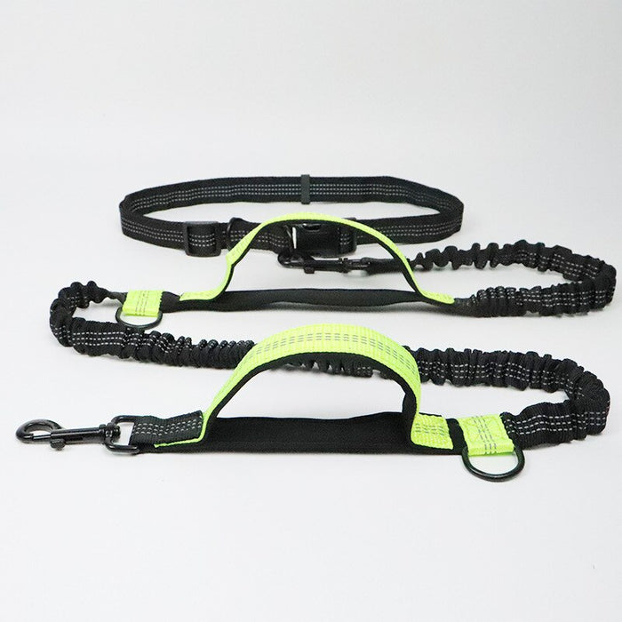 Running Dog Leash