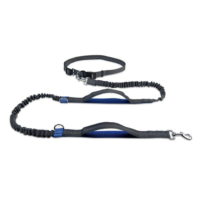 Running Dog Leash