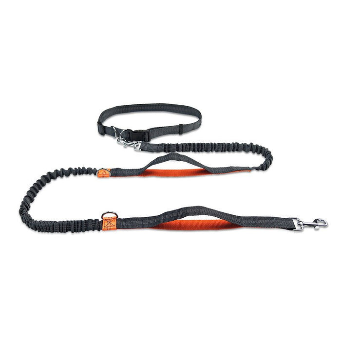 Running Dog Leash