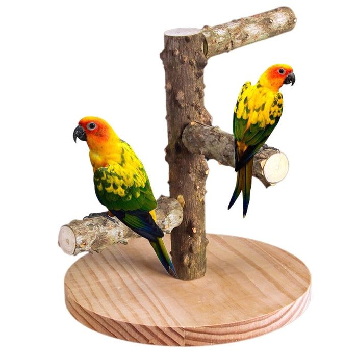 Wooden Bird Perch Stands With Base